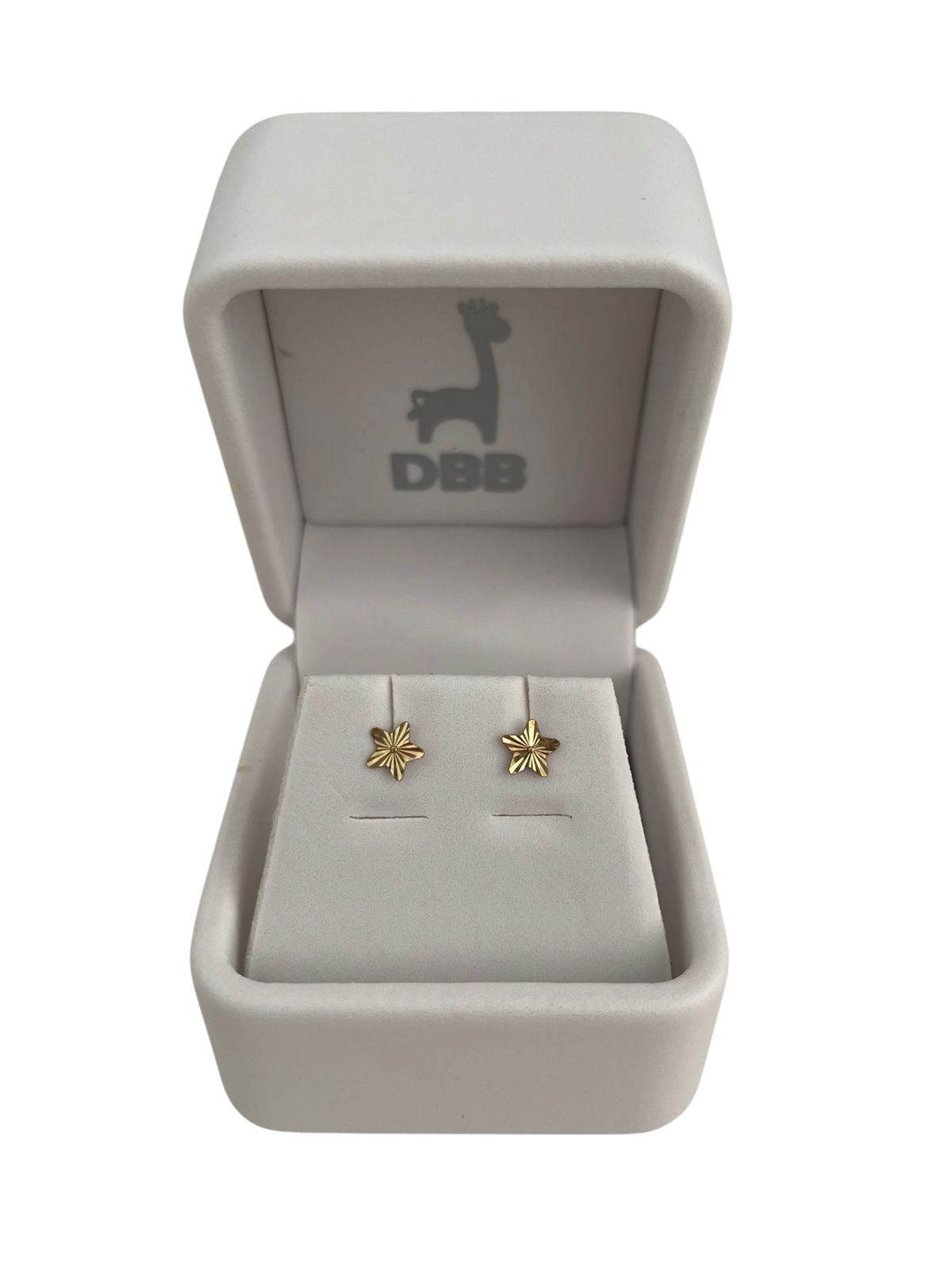 Mystic Aretes Oro Amarillo Estrella Ribeteada / 6mm / 14 K