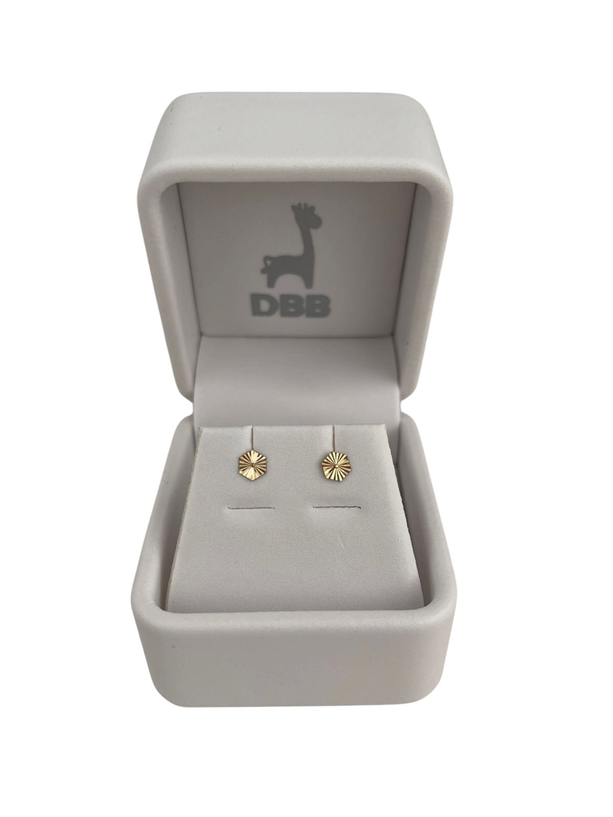 Mystic Aretes Oro Amarillo Hexágono Ribeteado / 5mm / 14K