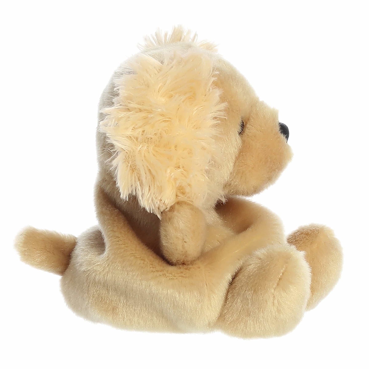 Aurora - Palm Pals - 5" Oatmeal Goldendoodle
