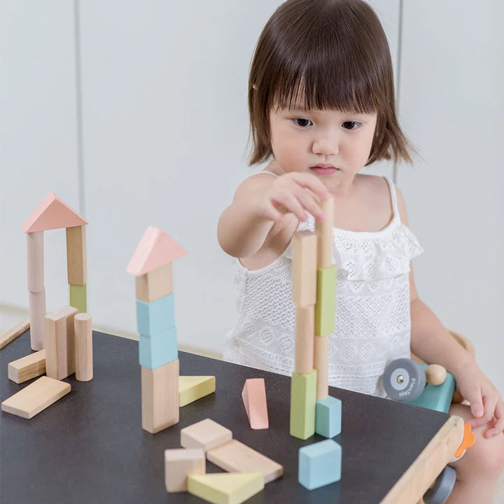 Plan Toys 40-Piece Small Unit Blocks