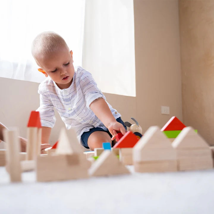 Plan Toys 40-Piece Small Unit Blocks