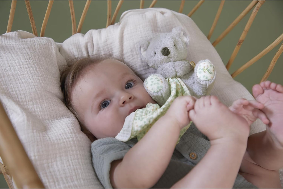 Kaloo Doudou Koala