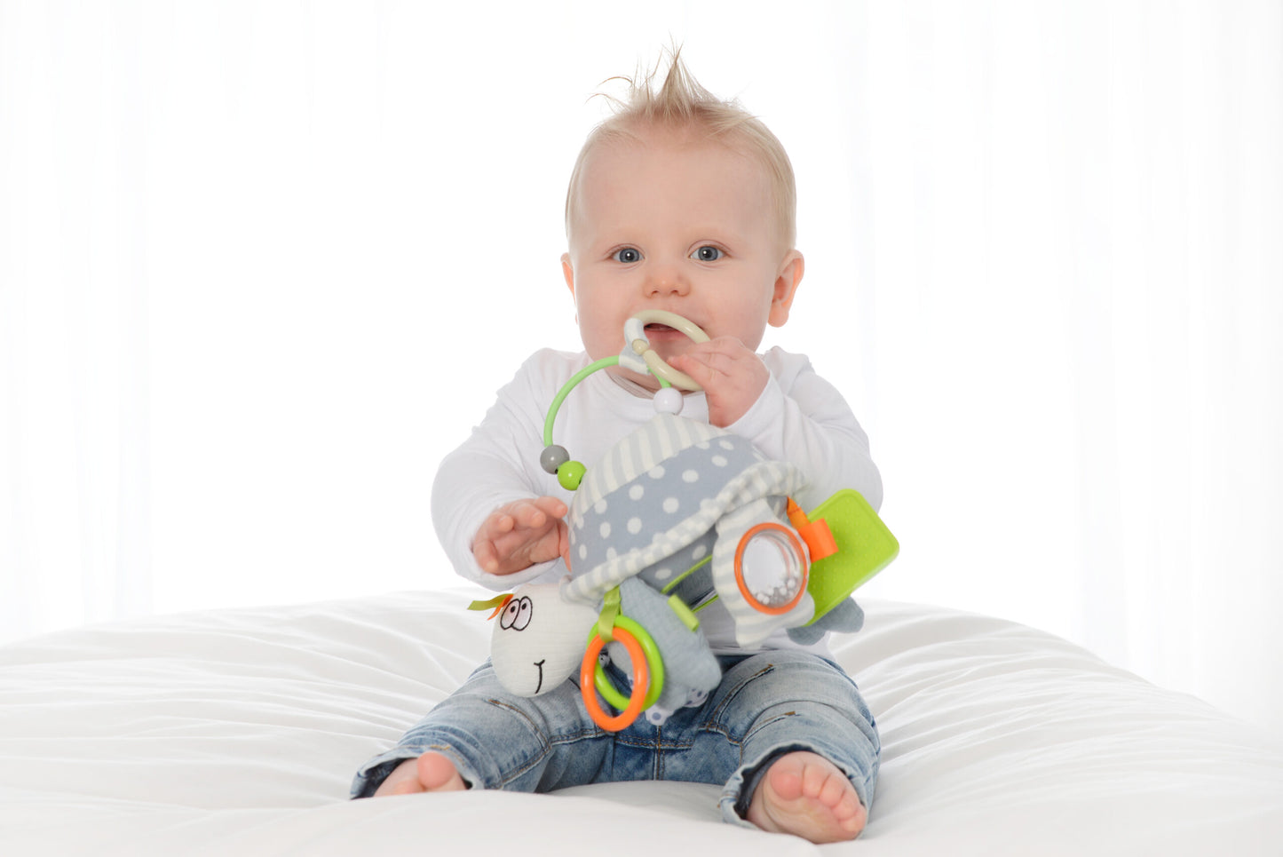 Dolce Tito The Turtle