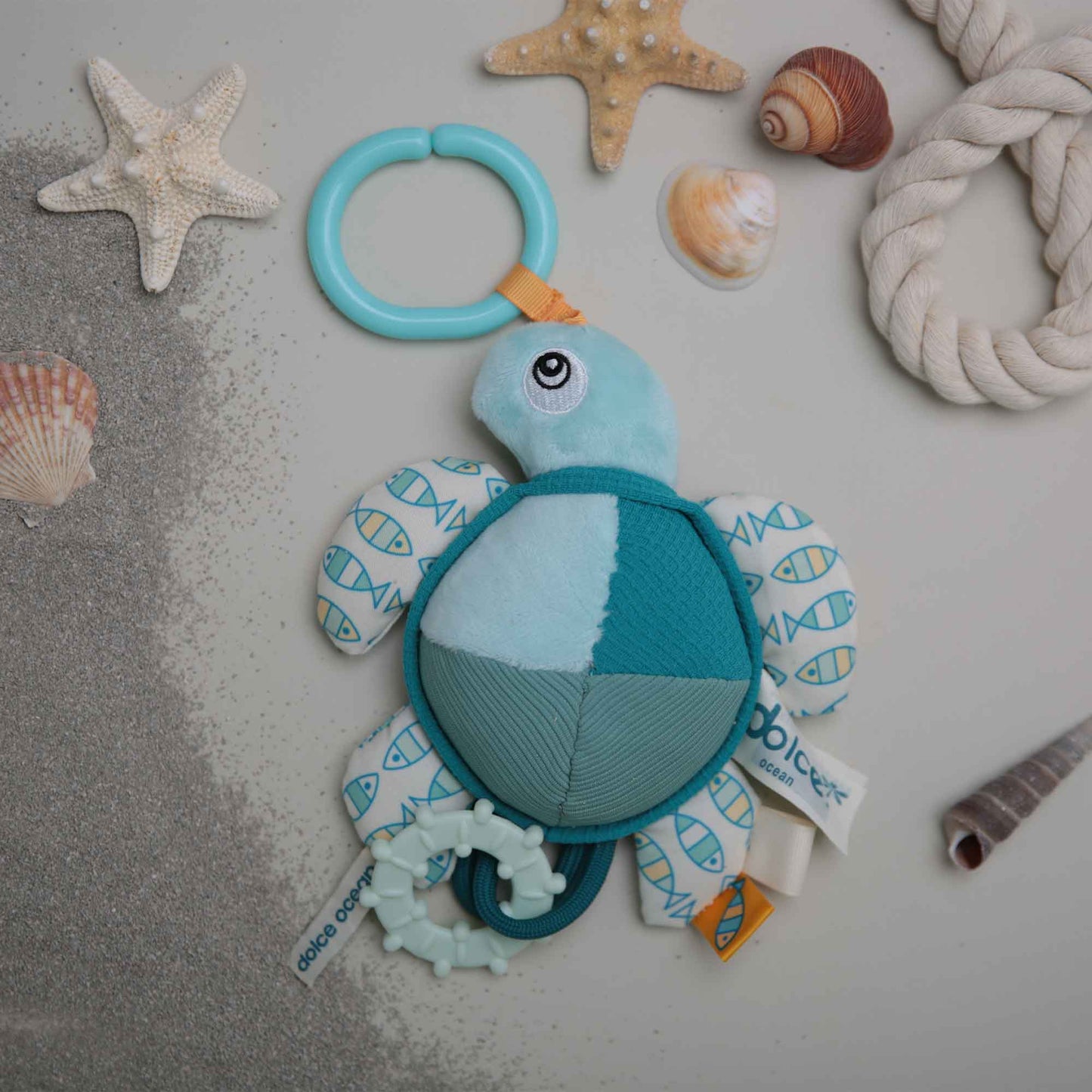 Dolce Flippy The Turtle