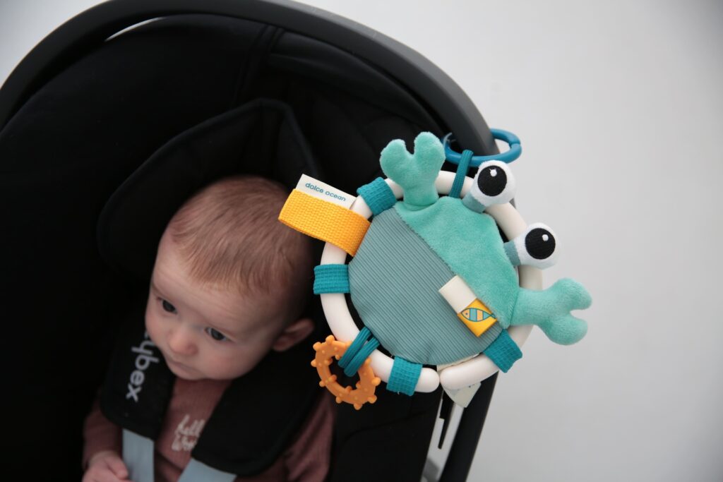 Dolce Activity Teether