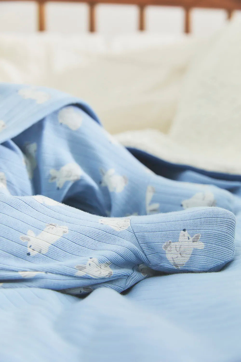 Babycottons Enterito Jill Hoppers Blue