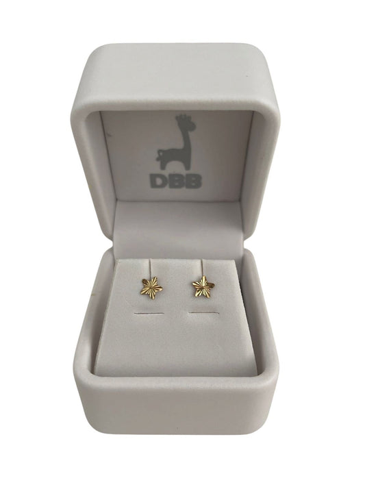 Mystic Aretes Oro Amarillo Estrella Ribeteada / 6mm / 14 K