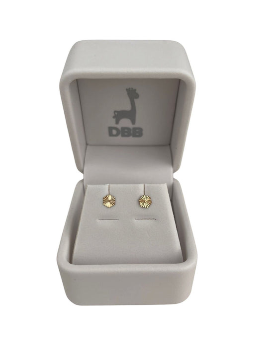 Mystic Aretes Oro Amarillo Hexágono Ribeteado / 5mm / 14K