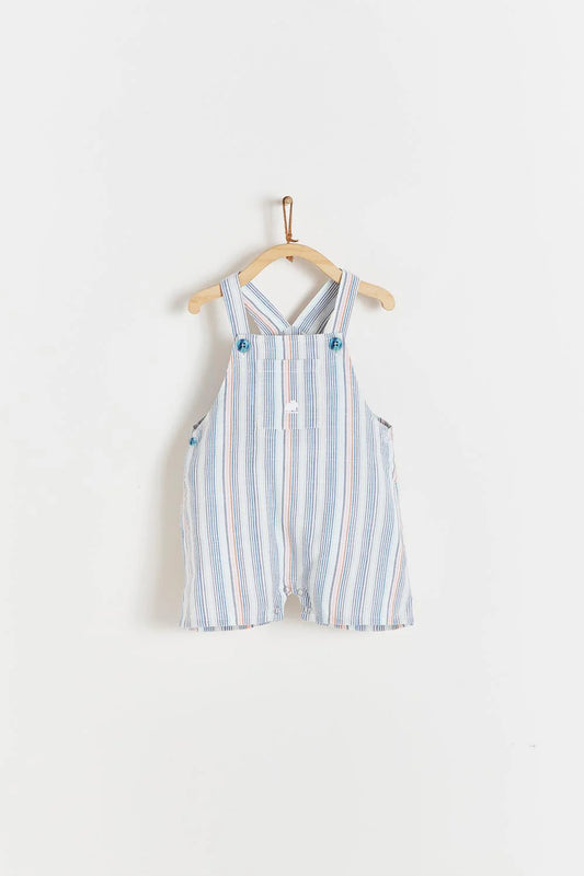 BC Shortall Tim Small