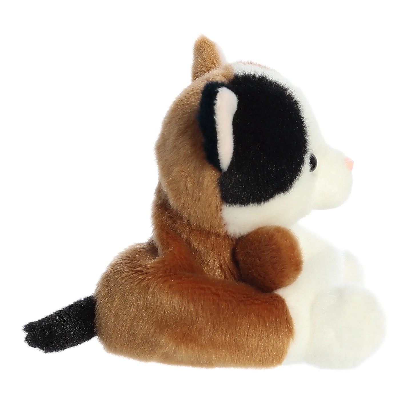 Aurora - Palm Pals - 5" Peebs Calico Cat