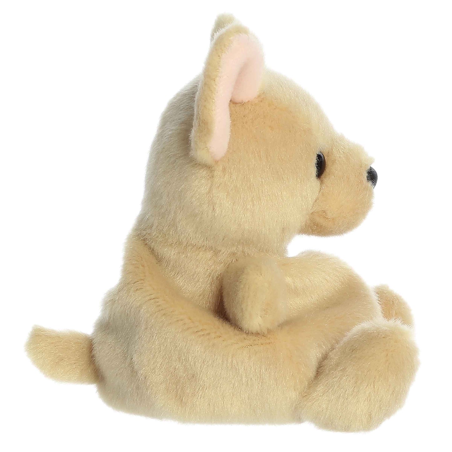 Aurora - Palm Pals - 5" Cookie Chihuahua