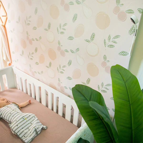 BBlüv Viyü: Wifi Baby Camera