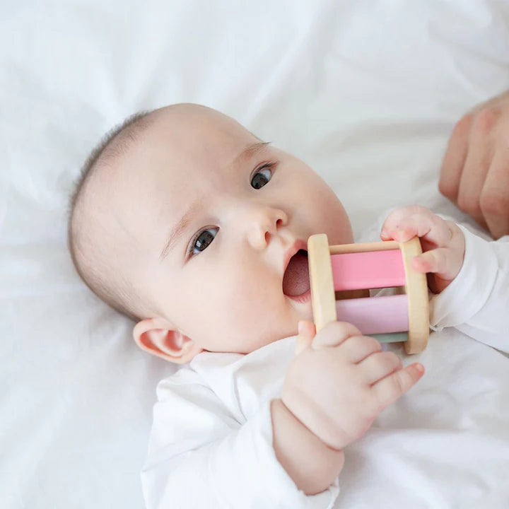 Plan Toys Roller