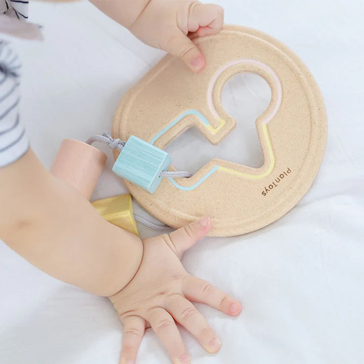 Plan Toys Shape Sorter