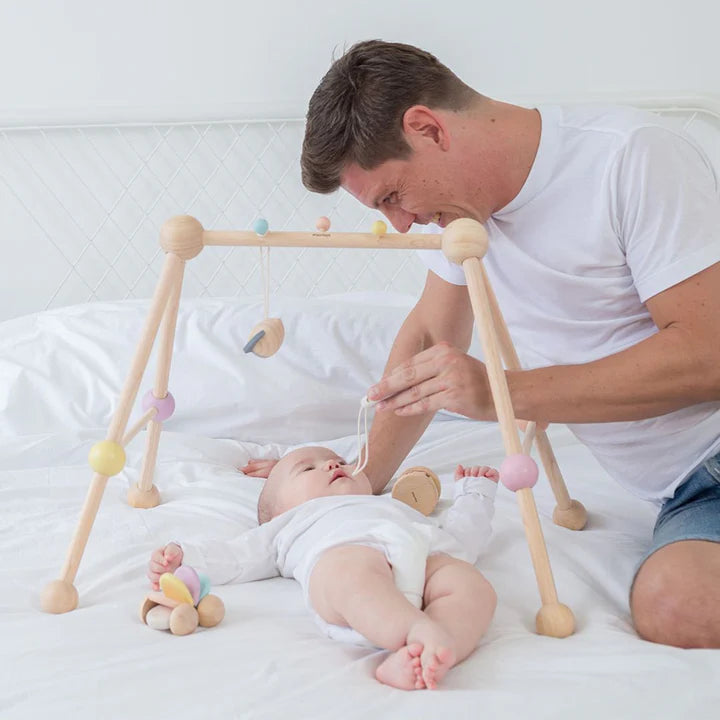 Plan Toys Play Gym