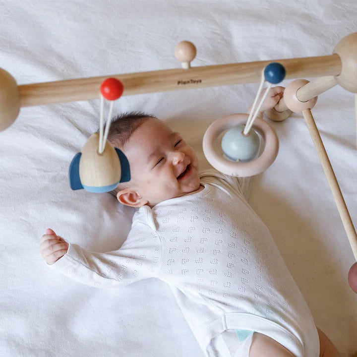 Plan Toys Play Gym