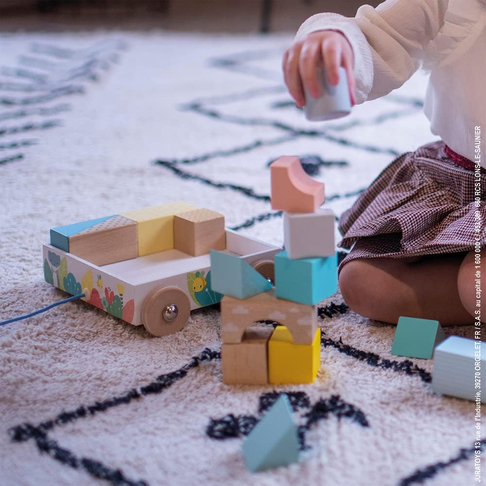 Janod Pull-Along Blocks Cart