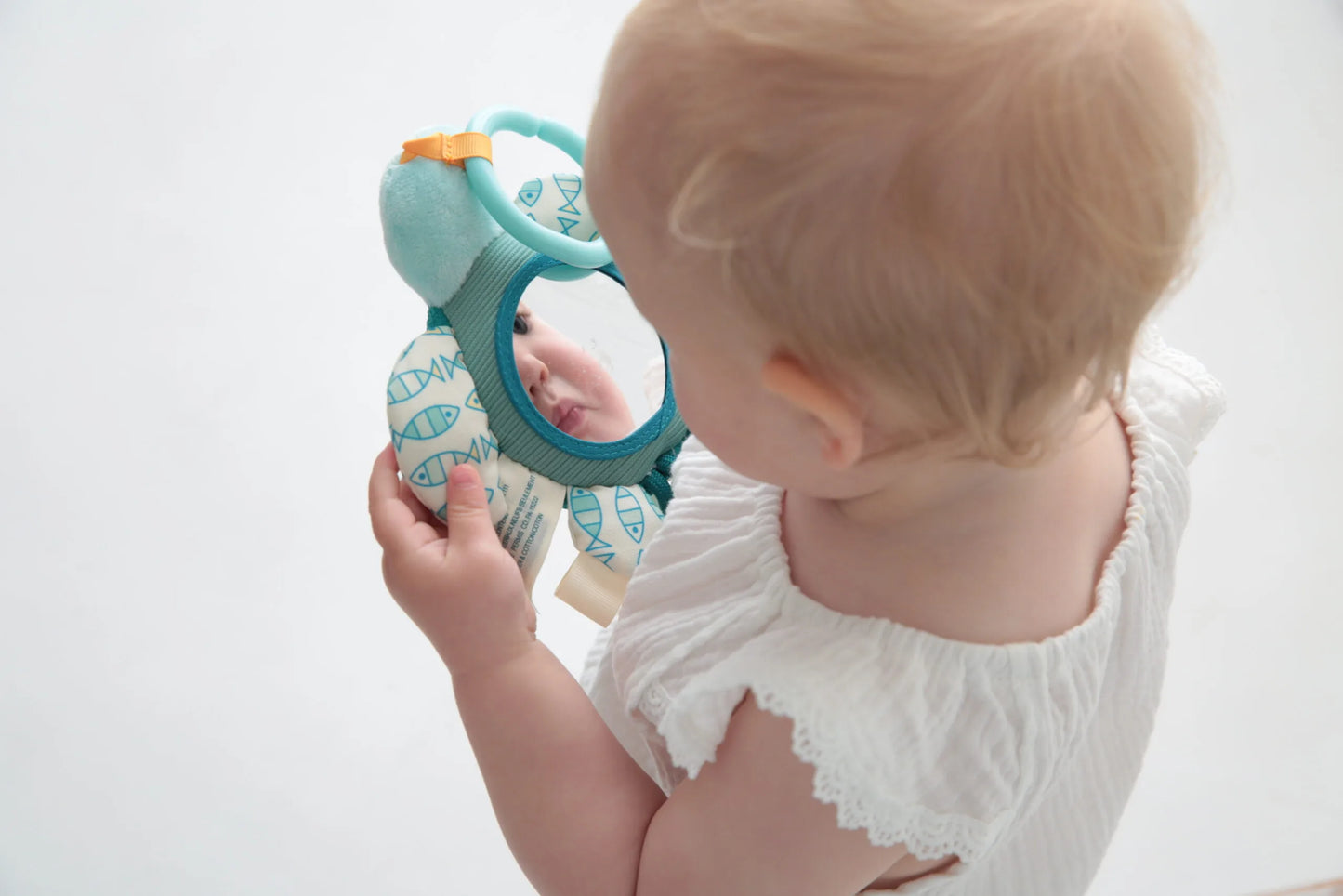 Dolce Flippy The Turtle