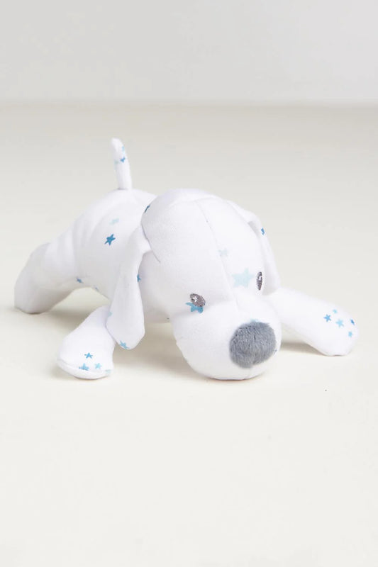 BC Mini Pascal Shine