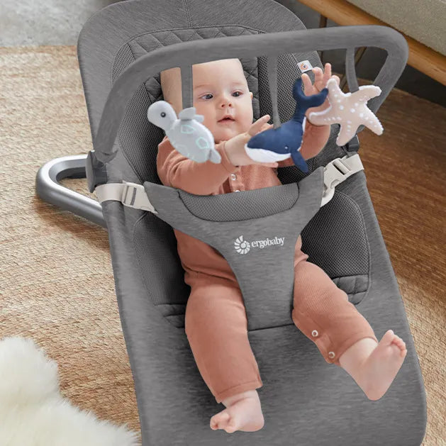 Ergobaby Evolve Bouncer Toy Bar