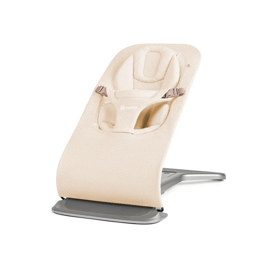 Ergobaby Evolve Bouncer 3 in 1