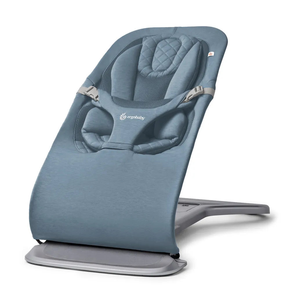 Ergobaby Evolve Bouncer 3 in 1