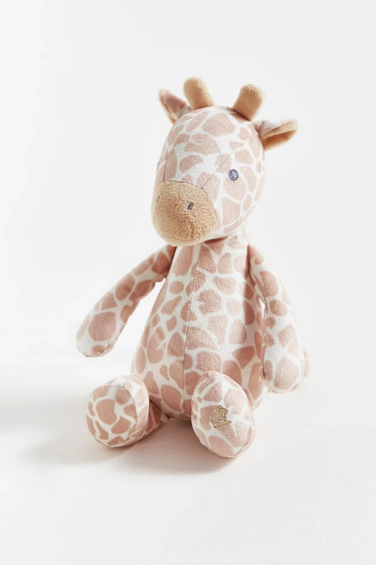 BC Pet Animals Giraffe