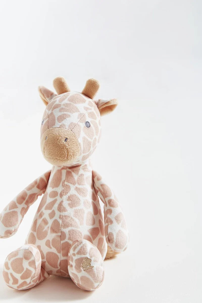 BC Pet Animals Giraffe
