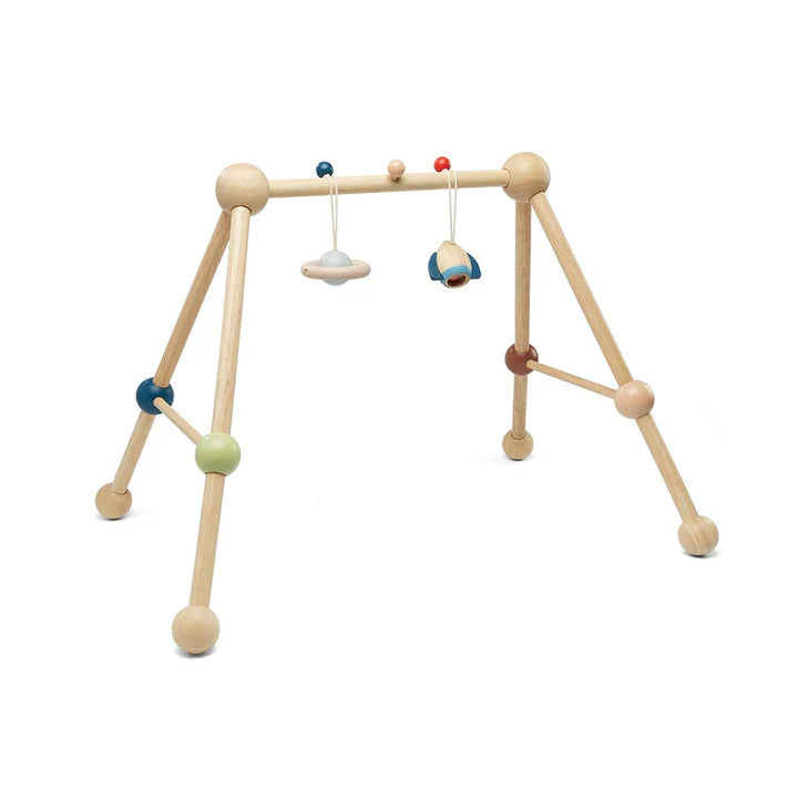 Plan Toys Play Gym