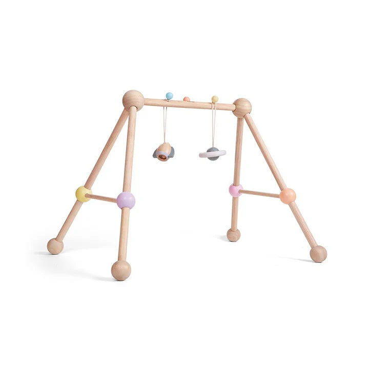 Plan Toys Play Gym